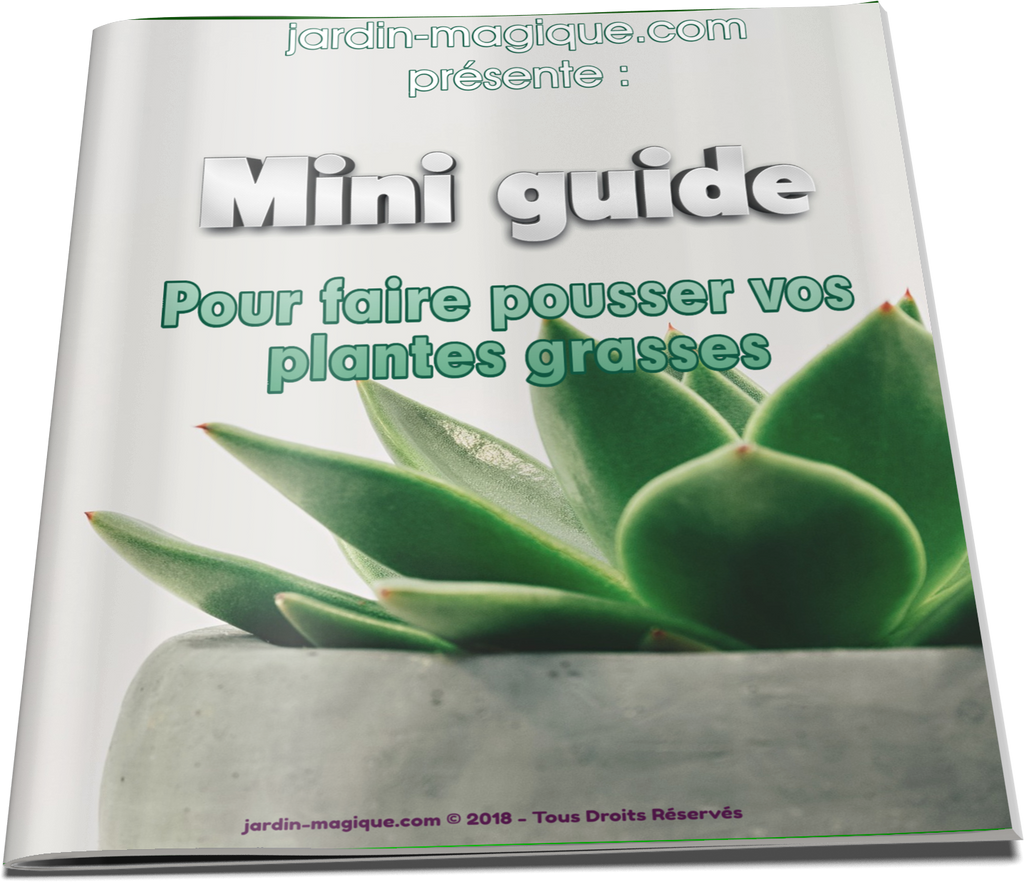 Offert Mini Guide Pour Faire Pousser Vos Plantes Grasses Jardin Magique 7258