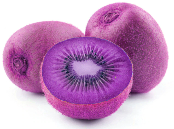 100 graines de KIWI VIOLET magiques !